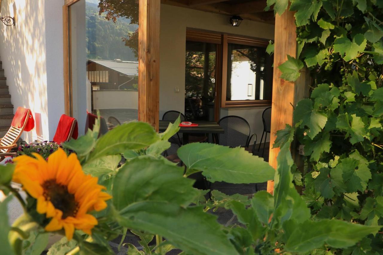 B&B Fruehlingsheim Racines Exterior photo