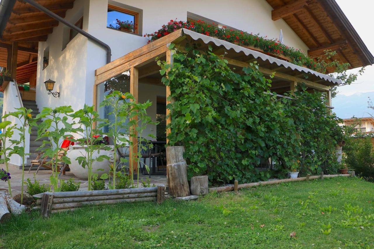 B&B Fruehlingsheim Racines Exterior photo